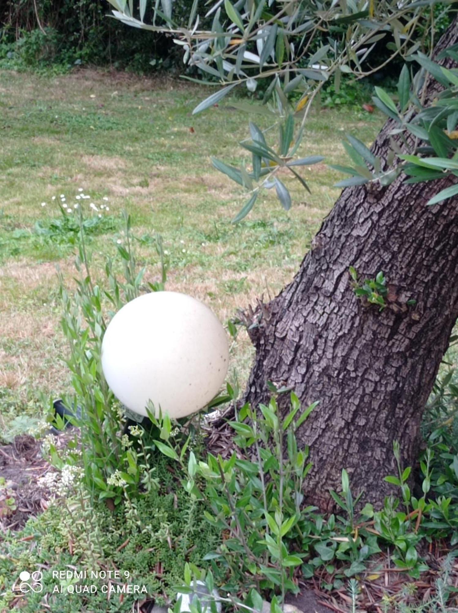 Villa Rez-de-jardin piscine chauffée et jardin privatifs Saint-Geours-de-Maremne Esterno foto